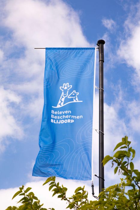 Flag CiCLO® 3