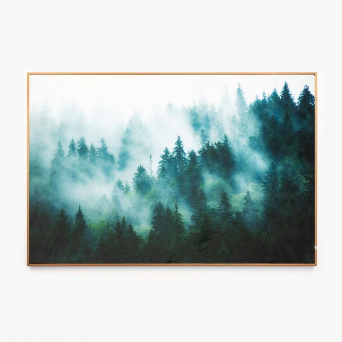 b933c8c5f8d2e69185fa.jpg